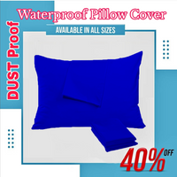 Pillow Cover with Waterproofing Pillow 2 piece set